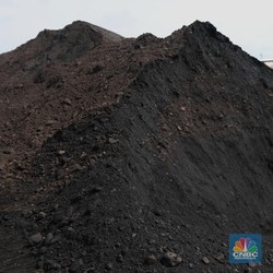 Harga Batubara Melesat, 8 Hari Beruntun di Zona Hijau