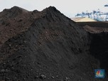 Digembok Bursa, Emiten Batubara Ini Buka Suara