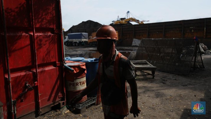 Pekerja melakukan bongkar muat di kapal tongkang bermuatan batubara dari Kalimantan di Pelabuhan Tanjung Priok, Jakarta, Kamis (4/8/2022). (CNBC Indonesia/Tri Susilo)