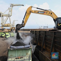 Bongkar Muat Batu Bara Di Saat Kabar PLN Sulit Dapat Kontrak