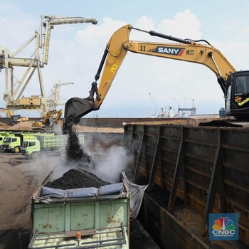 Bongkar Muat Batu Bara Di Saat Kabar PLN Sulit Dapat Kontrak