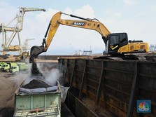 Saham Batubara Longsor Berjamaah, Emiten Ini Paling Boncos