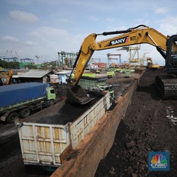 Kantongi Izin Produksi 81 Juta ton, Laba BUMI Bakal Melesat?