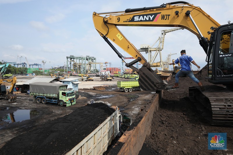 Pekerja melakukan bongkar muat di kapal tongkang bermuatan batubara dari Kalimantan di Pelabuhan Tanjung Priok, Jakarta, Kamis (4/8/2022). (CNBC Indonesia/Tri Susilo)