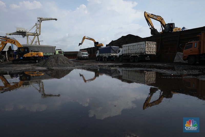 Pekerja melakukan bongkar muat di kapal tongkang bermuatan batubara dari Kalimantan di Pelabuhan Tanjung Priok, Jakarta, Kamis (4/8/2022). (CNBC Indonesia/Tri Susilo)