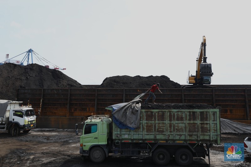 Pekerja melakukan bongkar muat di kapal tongkang bermuatan batubara dari Kalimantan di Pelabuhan Tanjung Priok, Jakarta, Kamis (4/8/2022). (CNBC Indonesia/Tri Susilo)