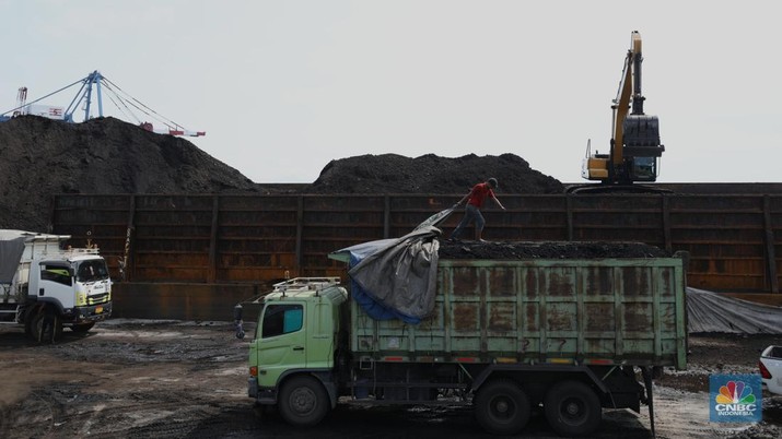 Pekerja melakukan bongkar muat di kapal tongkang bermuatan batubara dari Kalimantan di Pelabuhan Tanjung Priok, Jakarta, Kamis (4/8/2022). (CNBC Indonesia/Tri Susilo)