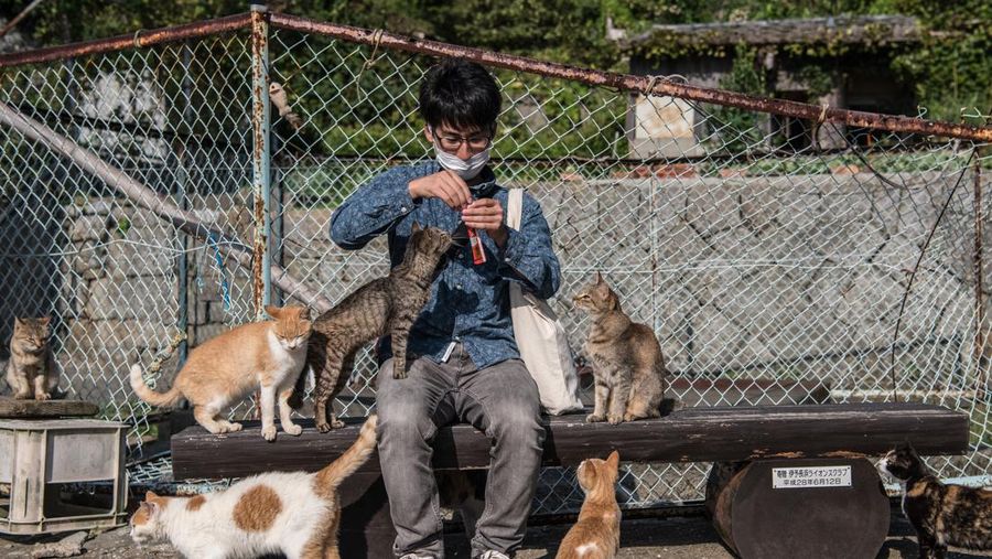 AOSHIMA, JAPAN - SEPTEMBER 27: Cats crowd around an island resident as he slices a recently caught fish on September 27, 2018 in Aoshima, Japan. Aoshima island has come to be known for its large number of felines which now outnumber humans by approximately ten to one. They were introduced on ships in the area but remained on the island and repopulated with estimates placing the current population at around 200 compared to a human population of just nine. Like many rural areas of Japan, large numbers of residents have left the community to seek better job prospects in cities and the people now remaining, and often feeding the cats, are all pensioners. (Photo by Carl Court/Getty Images)