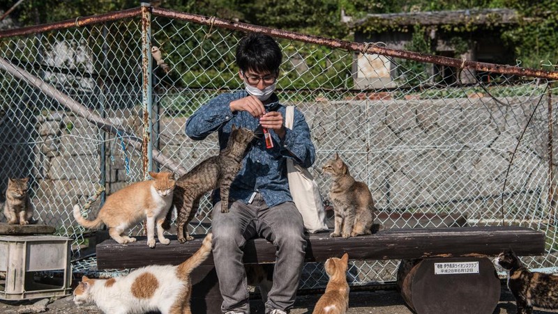 AOSHIMA, JAPAN - SEPTEMBER 27: Cats crowd around an island resident as he slices a recently caught fish on September 27, 2018 in Aoshima, Japan. Aoshima island has come to be known for its large number of felines which now outnumber humans by approximately ten to one. They were introduced on ships in the area but remained on the island and repopulated with estimates placing the current population at around 200 compared to a human population of just nine. Like many rural areas of Japan, large numbers of residents have left the community to seek better job prospects in cities and the people now remaining, and often feeding the cats, are all pensioners. (Photo by Carl Court/Getty Images)