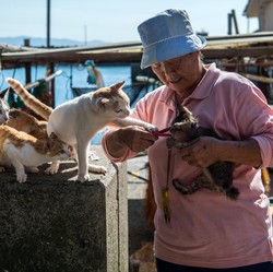 Jepang Punya Pulau Kucing, Jumlahnya Ngalahin Manusia