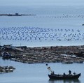 Dua Kapal Perang AS Dekati Taiwan, Siap Perang Sama China?