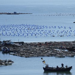 Dua Kapal Perang AS Dekati Taiwan, Siap Perang Sama China?