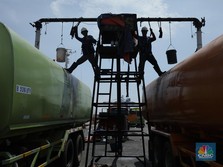 Berita India Buka Kebun Sawit Membuat Harga CPO Makin Loyo
