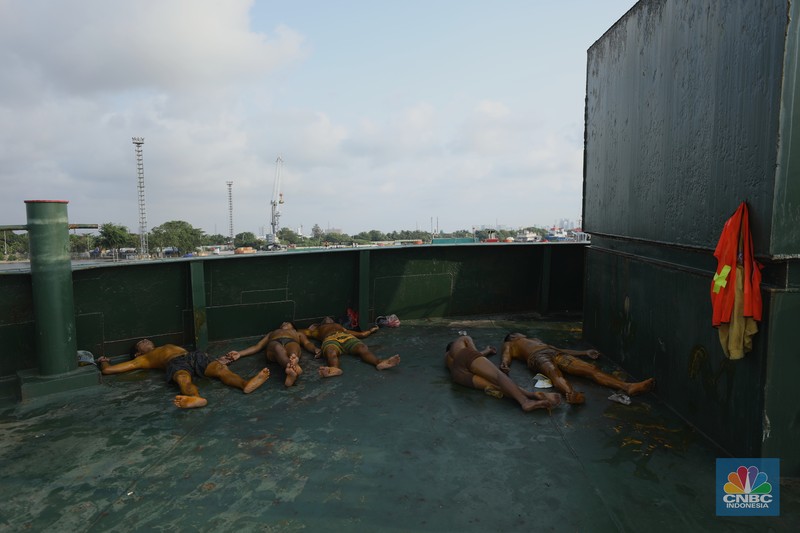 Pekerja berlumuran minyak kelapa sawit mentah atau Crude Palm Oil (CPO) dari Kalimantan saat bongkar muat di Kapal Kencana 89 di Pelabuhan Tanjung Priok, Jakarta. (CNBC Indonesia/Tri Susilo) Pekerja berlumuran minyak kelapa sawit mentah atau Crude Palm Oil (CPO) dari Kalimantan saat bongkar muat di Kapal Kencana 89 di Pelabuhan Tanjung Priok, Jakarta. (CNBC Indonesia/Tri Susilo)
