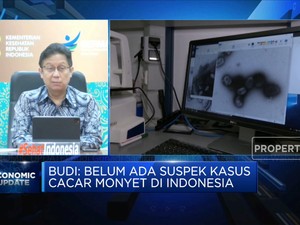 Budi Gunadi Sadikin & Modal Kemenkes Hadapi Cacar Monyet