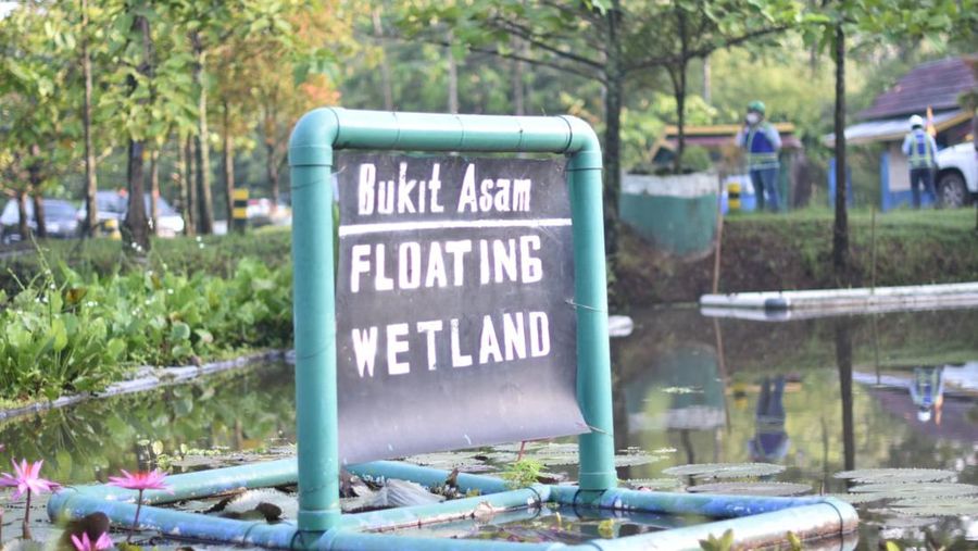 Bukit Asam