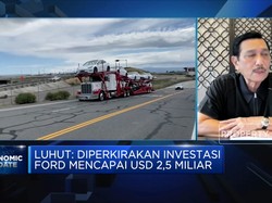 Kapan Tesla Investasi di RI? Ini Kata Luhut Binsar Pandjaitan
