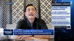 Menko Luhut Buka-bukaan Daya Tarik Investasi RI Pascapandemi