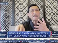Top! Luhut Ungkap Nilai Fantastis Dari Hilirisasi Nikel