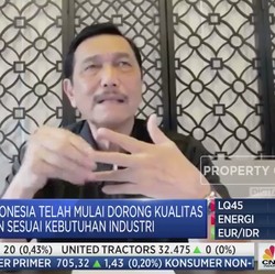 Simak Pernyataan Lengkap Luhut Soal Investasi Tesla Rp 74,5 T