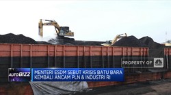 Menteri ESDM: Krisis Batu Bara Kembali Ancam PLN & Industri