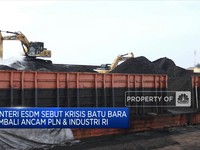 Menteri ESDM: Krisis Batu Bara Kembali Ancam PLN & Industri