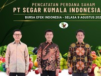 Laba Ambles 29%, Kok Emiten Baru IPO Ini Pilih Bagi Dividen?