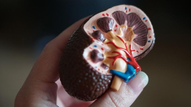 Alert!  These are the 3 main causes of kidney failure at a young age