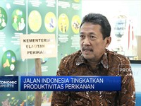 Jurus KKP Capai Target PNBP Sektor Perikanan RP 1,6 Triliun