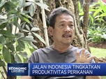 Dahsyat! Laut Luas, Potensi Ikan di Indonesia Rp 224 T/Tahun