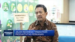 Ini Cara KKP Maksimalkan Produktivitas Perikanan RI