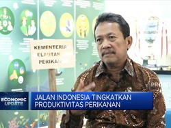 Ini Cara KKP Maksimalkan Produktivitas Perikanan RI