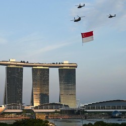 Gawat! Babi Bikin Hubungan RI dan Singapura 'Memanas'