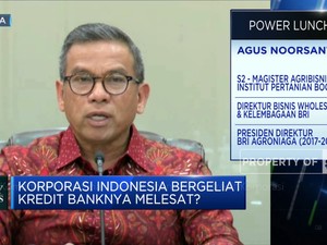 Harga Komoditas Perkebunan Turun, Kredit Korporasi Apa Kabar?