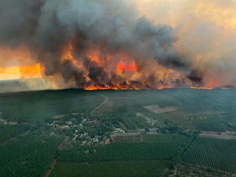 kebakaran hutan di prancis Petugas pemadam kebakaran berupaya memadamkan api di Belin-Beliet, saat kebakaran hutan terus meluas di wilayah Gironde, Prancis barat daya,Rabu (10/8/2022). (REUTERS/Stephane Mahe)