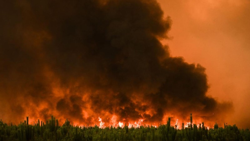 Petugas pemadam kebakaran berupaya memadamkan api di Belin-Beliet, saat kebakaran hutan terus meluas di wilayah Gironde, Prancis barat daya,Rabu (10/8/2022). (REUTERS/Stephane Mahe)