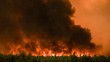 10.000 Orang Ngungsi, Potret Ngeri Kebakaran Hutan di Prancis