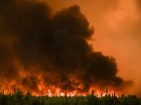 10.000 Orang Ngungsi, Potret Ngeri Kebakaran Hutan di Prancis