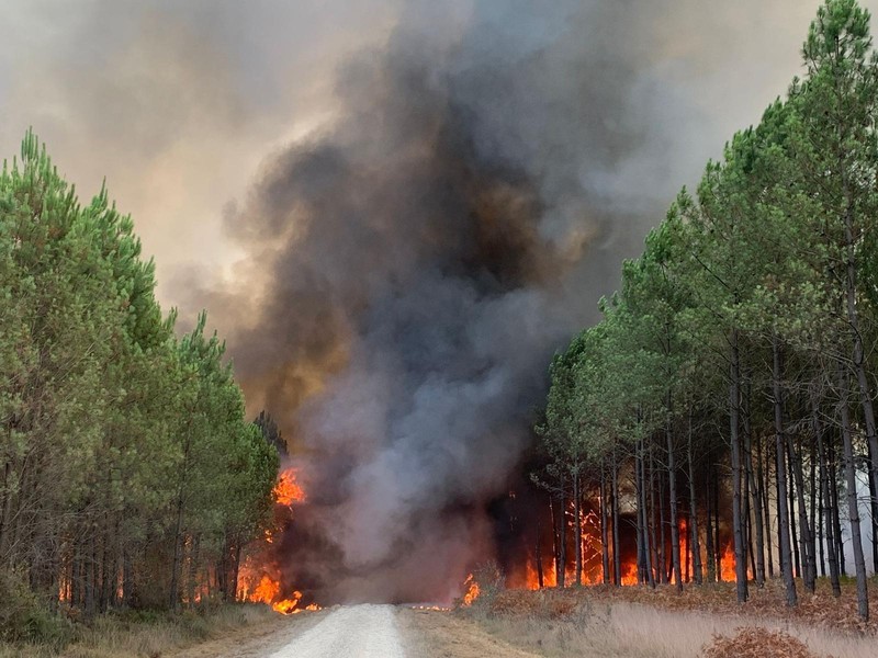 Petugas pemadam kebakaran berupaya memadamkan api di Belin-Beliet, saat kebakaran hutan terus meluas di wilayah Gironde, Prancis barat daya,Rabu (10/8/2022). (REUTERS/Stephane Mahe)