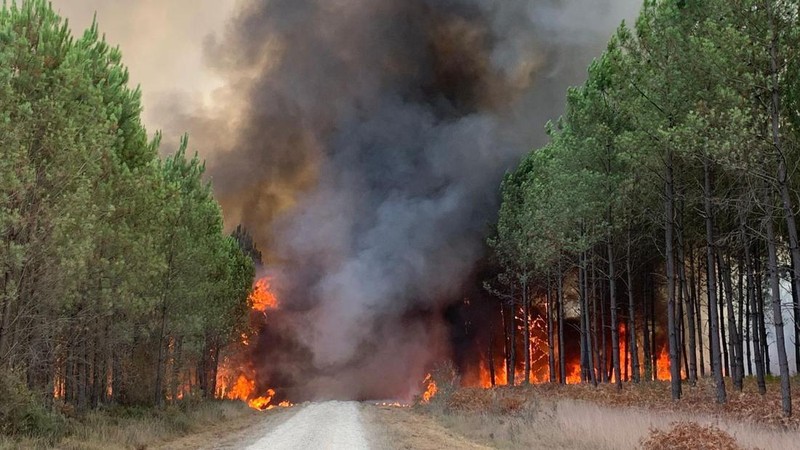 Petugas pemadam kebakaran berupaya memadamkan api di Belin-Beliet, saat kebakaran hutan terus meluas di wilayah Gironde, Prancis barat daya,Rabu (10/8/2022). (REUTERS/Stephane Mahe)