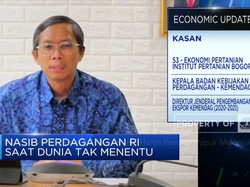 Kemendag Ungkap Efek Perang, Harga Pangan & Pupuk Melonjak