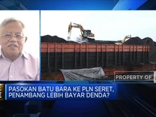 Lagi-lagi Pasokan Batu Bara ke PLN Seret, Apa Penyebabnya?