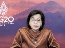 Sri Mulyani Ingatkan Krisis Besar Ini Melanda 8 Bulan Lagi