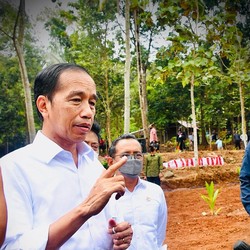 Heboh Jokowi 'Tolak' Usulan Luhut, Ada Apa Ini?