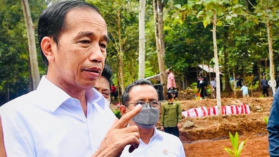 Presiden Jokowi usai meninjau penanaman kelapa genjah di Desa Sanggang, Kecamatan Bulu, Kabupaten Sukoharjo, Provinsi Jawa Tengah, Kamis 11 Agustus 2022. (Foto: Rusman - Biro Pers Sekretariat Presiden_