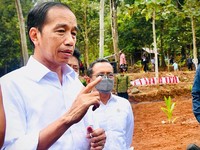 Heboh Jokowi 'Tolak' Usulan Luhut, Ada Apa Ini?