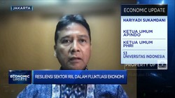 Apindo & Tantangan Pemulihan Bisnis Hadapi Fluktuasi Ekonomi