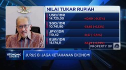 Deputi Gubernur BI Ungkap Jurus Tangkal Depresiasi Rupiah