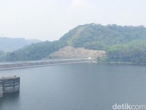 Penyebab Ikan Waduk Cirata Tak Layak Konsumsi Kata Menteri KKP