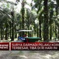 Buronan Korupsi, Surya Darmadi Balik Ke RI